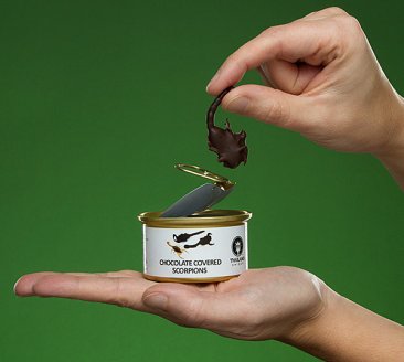 Chocolate-Covered Edible Bugs Gift Pack