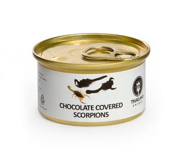 Chocolate-Covered Edible Bugs Gift Pack