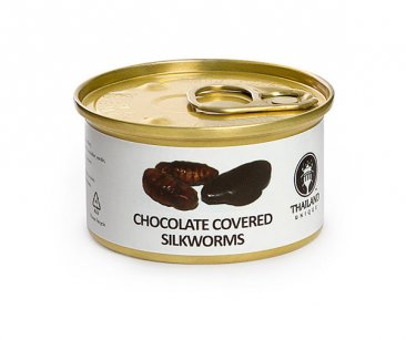 Chocolate-Covered Edible Bugs Gift Pack